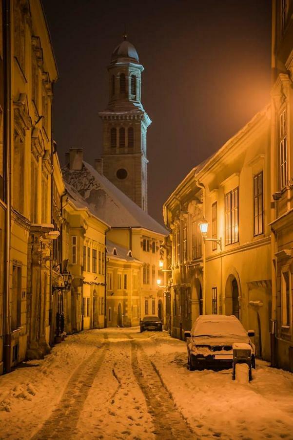 Belvarosi Erdesz-Lak Шопрон Экстерьер фото